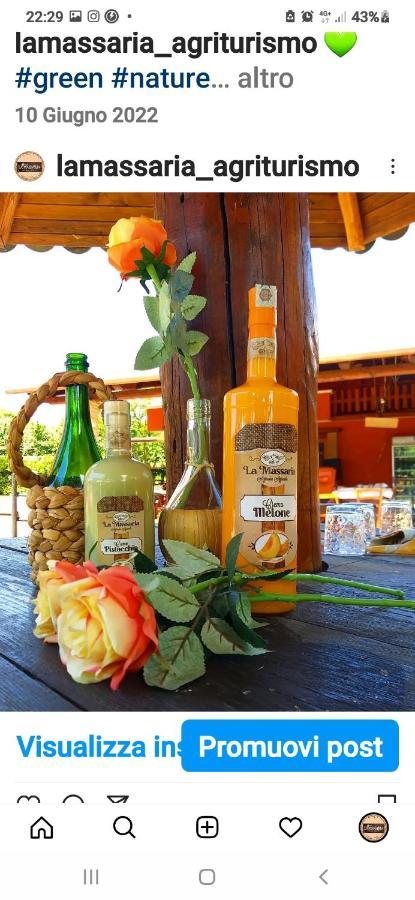 La Massaria Bed and Breakfast Avellino Esterno foto